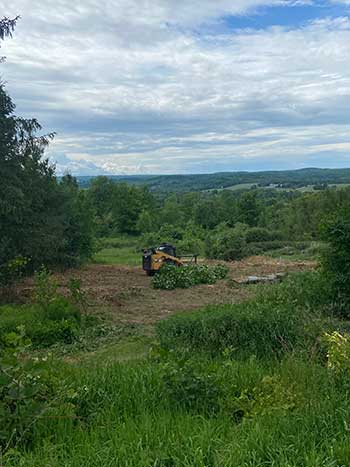 skidsteer clearing